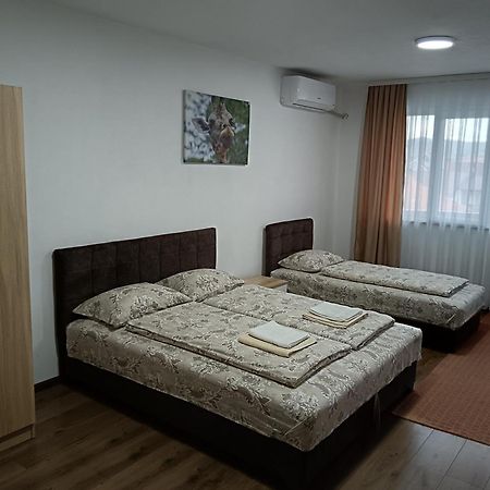 Apartmani Centar Sjenica Zewnętrze zdjęcie